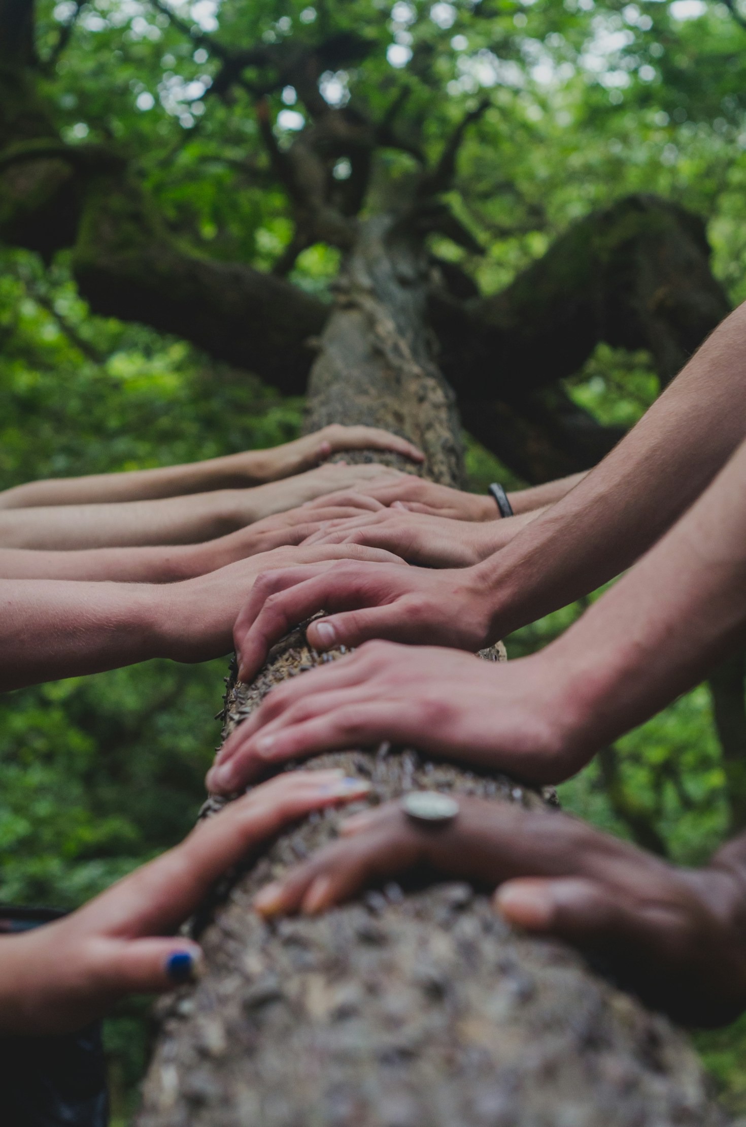 How Bee Light Fosters Meaningful Connections