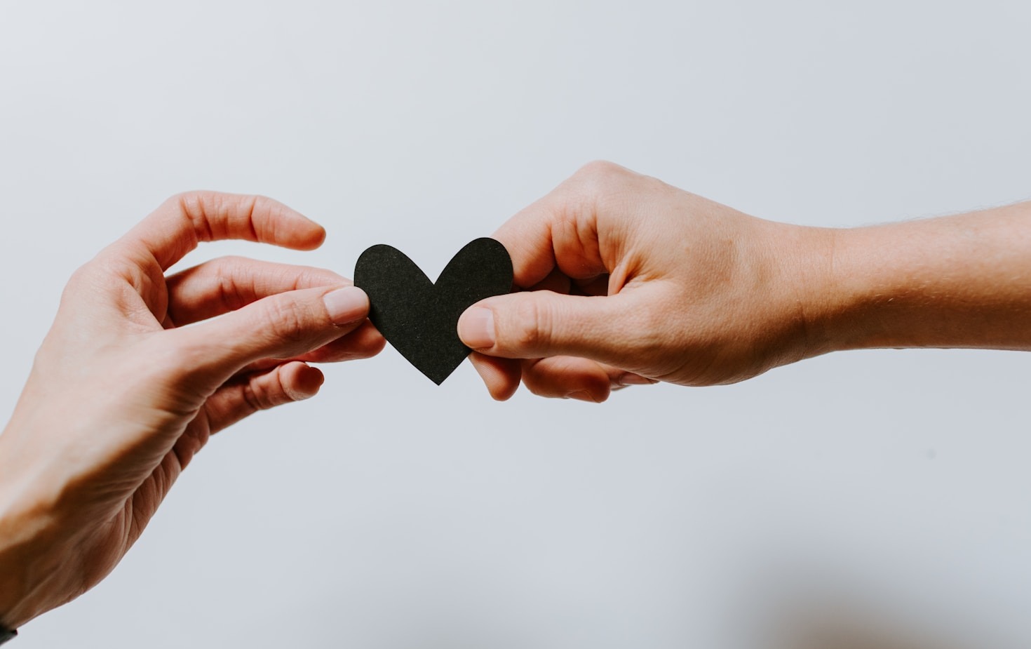 The Ultimate Guide to Networking with Bee Light